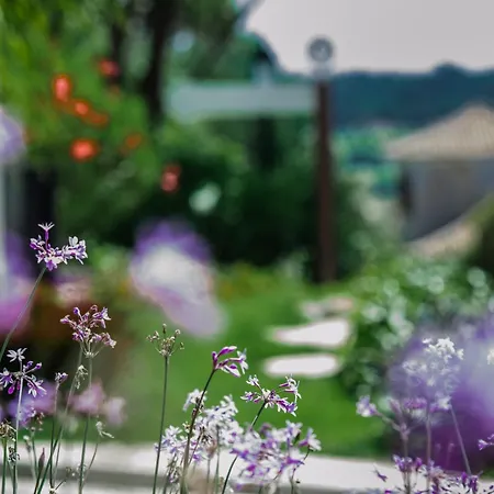 Belinha - Pinheiros Altos